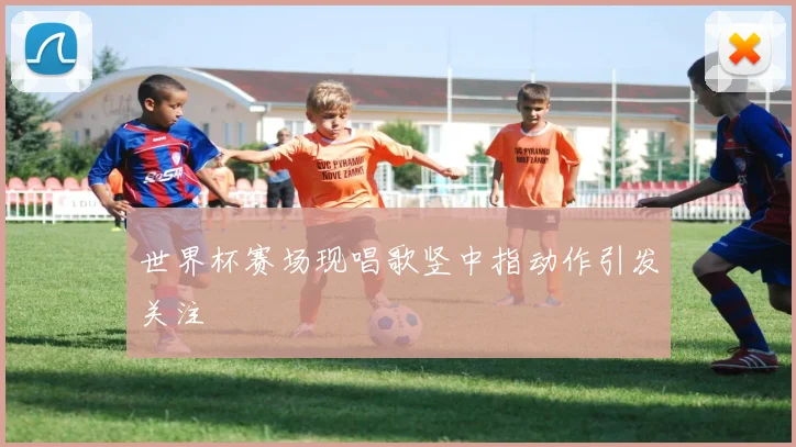 世界杯赛场现唱歌竖中指动作引发关注