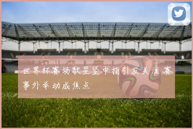 世界杯赛场歌星竖中指引发关注 赛事外举动成焦点
