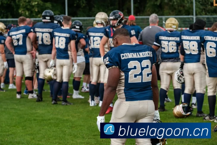 多媒体互动体验